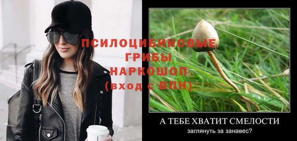 марки nbome Аркадак